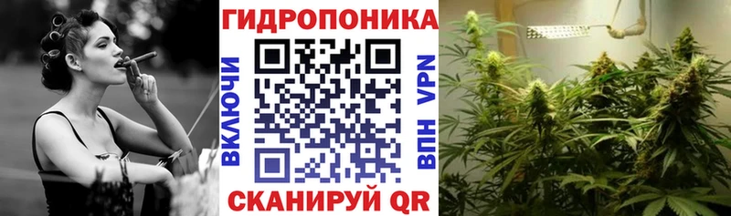 Цена Темников Амфетамин Марихуана A-PVP Мефедрон Гашиш