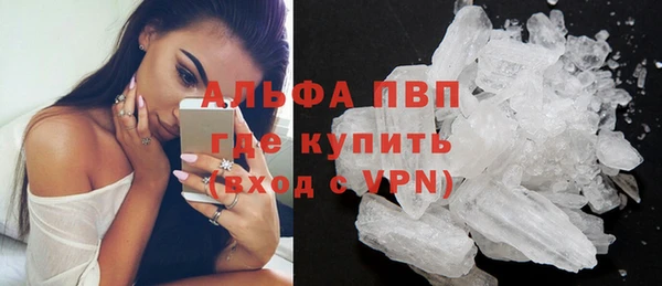 PSILOCYBIN Баксан