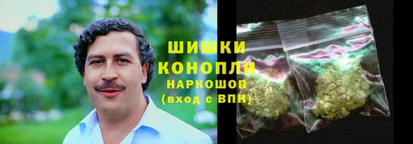 PSILOCYBIN Баксан