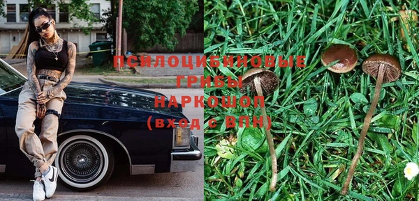 гашик Балабаново